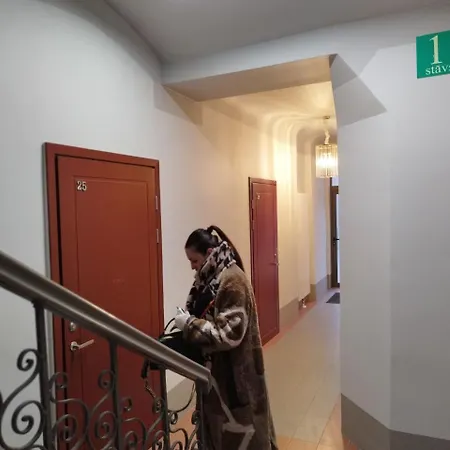 In The Center Of Apartament